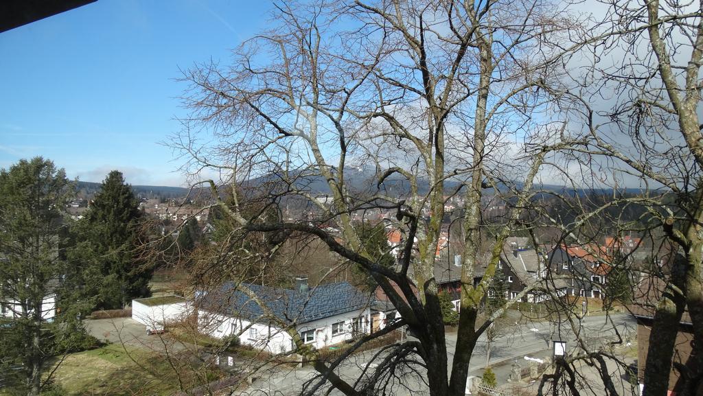 Ferienwohnung Bergziege Braunlage Exterior foto